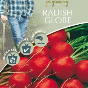 DD Radish Globe