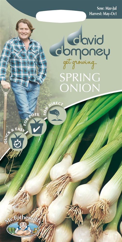DD Spring Onion