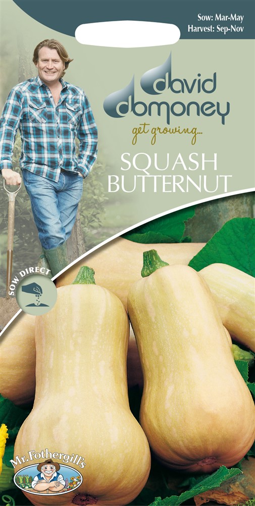 DD Squash Butternut