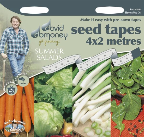 DD Tape Summer Salads