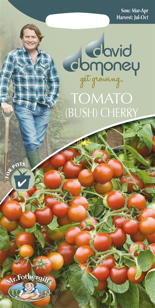 DD Tomato Bush Cherry