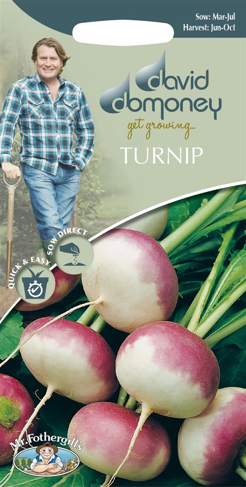 DD Turnip