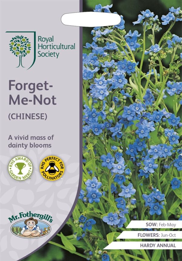 RHS Forget-Me-Not