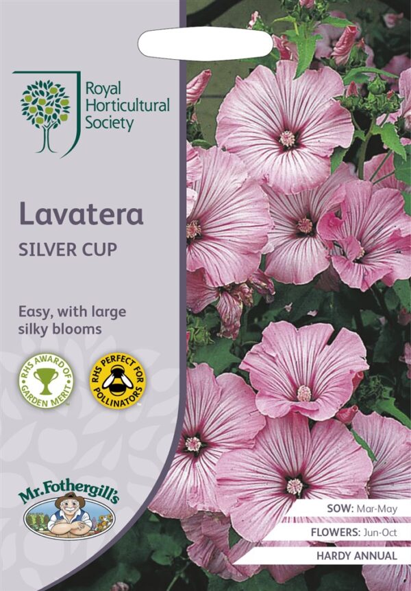 RHS Lavatera Silver Cup
