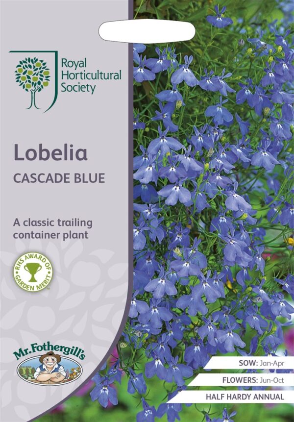RHS Lobelia Cascade Blue