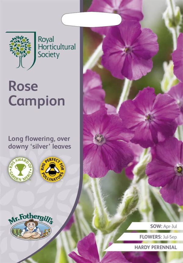 RHS Rose Campion