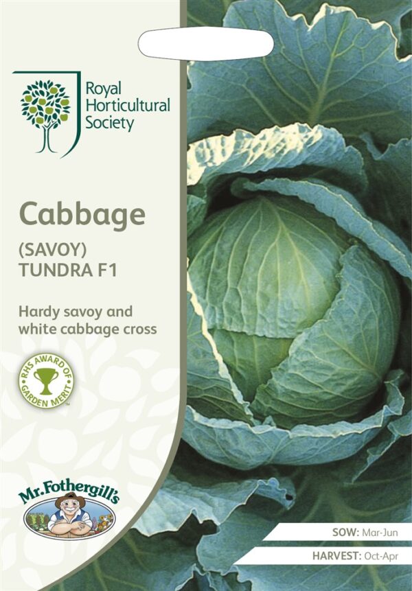 RHS Cabbage Savoy Tund
