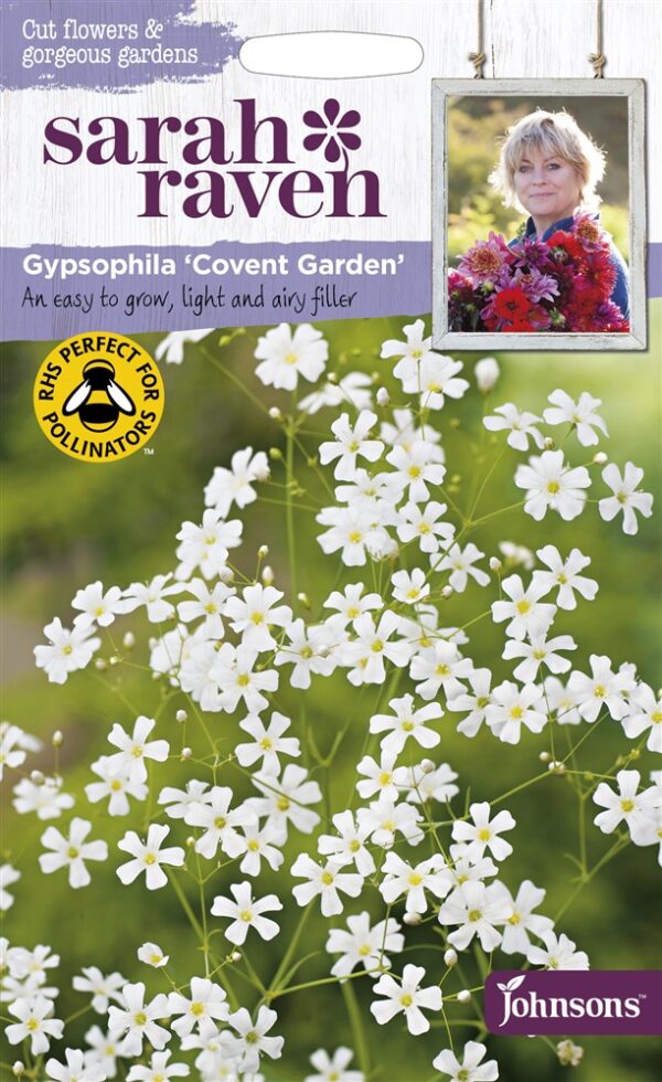 SR Gypsophila Covent Garden