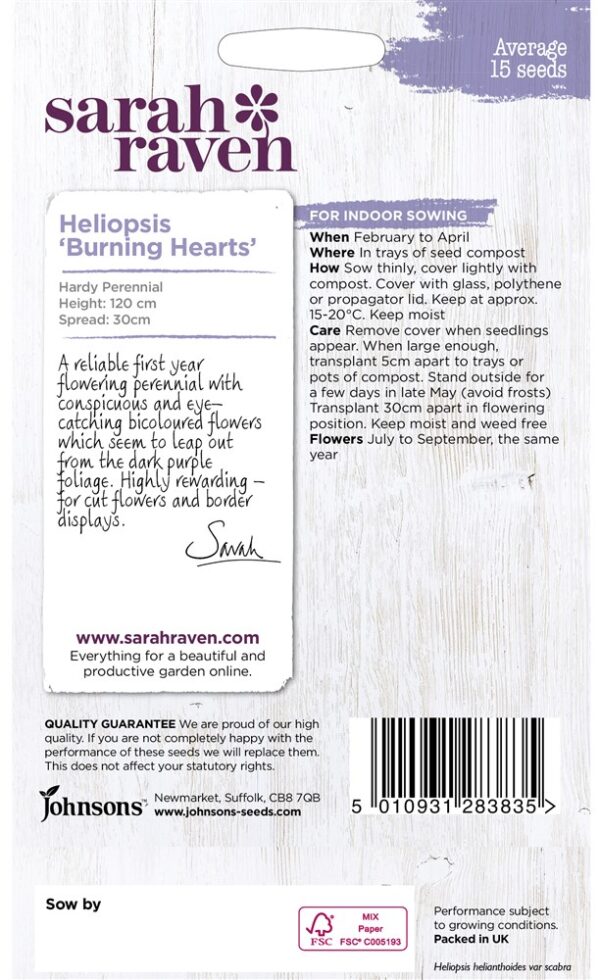 SR Heliopsis Burning Hearts