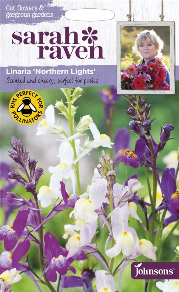 SR Linaria Northern Lights