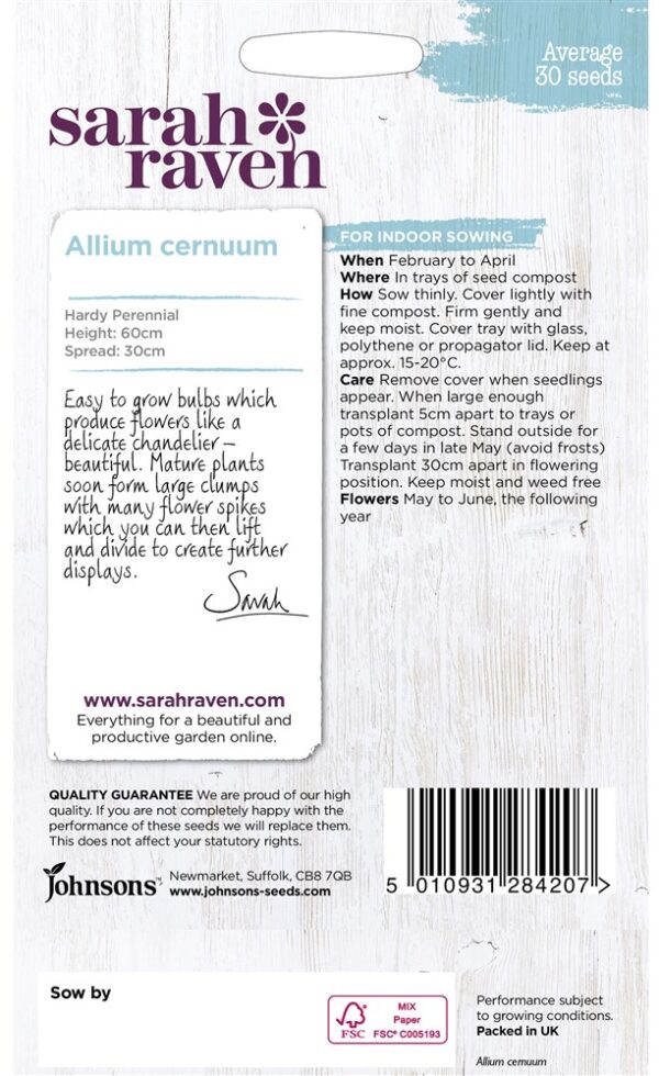 SR Allium Cernuum