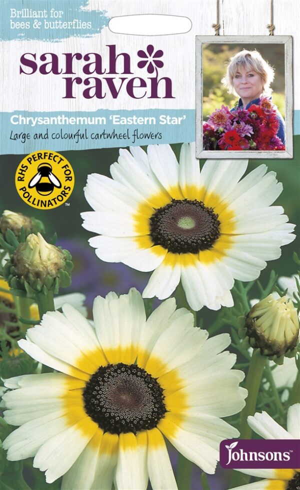 SR Chrysanthemum Eastern