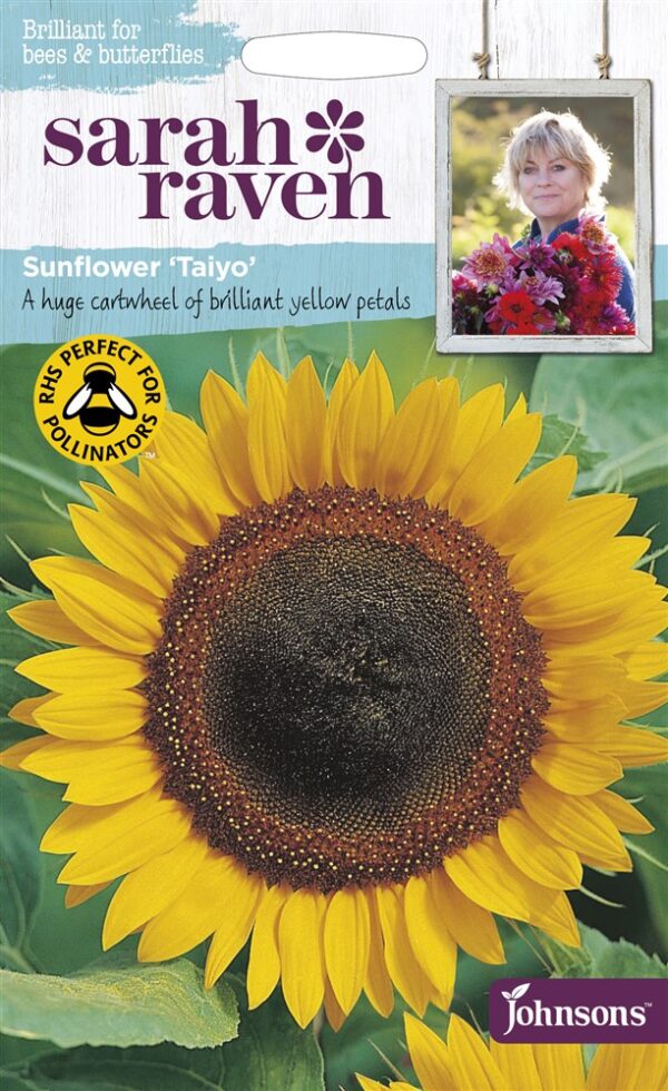SR Sunflower Taiyo