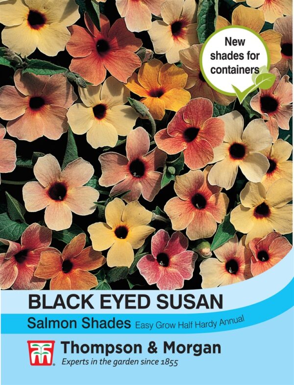 Black Eyed Susan Salmon