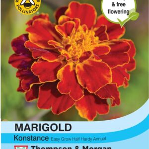 Marigold Konstance (French)