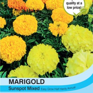 Marigold Sunspot Mixed