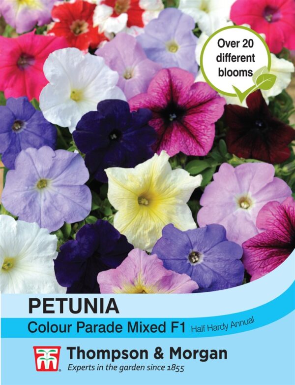 Petunia Colour Parade Mixed