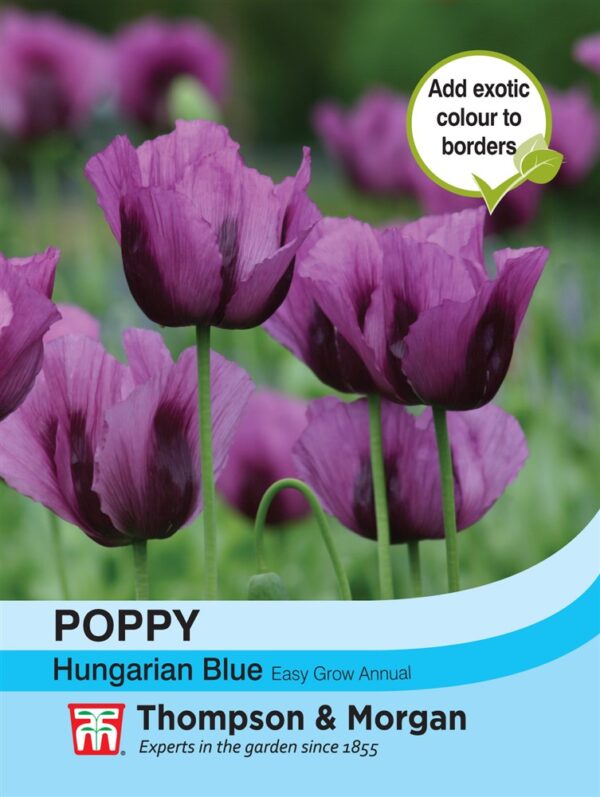 Poppy Hungarian Blue