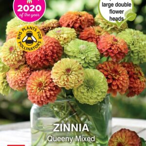 Zinnia Queeny Mixed