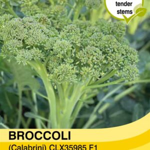 Broccoli calebrini Sweet