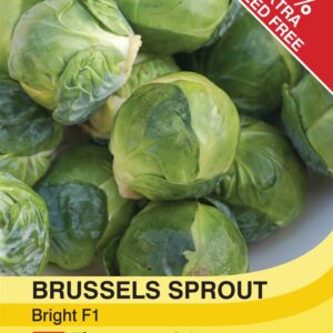 Brussels Sprout Bright F1