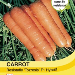 Carrot Resistafly ‘Tozresis