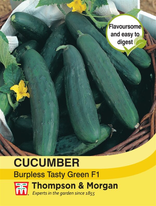 Cucumber Burpless Tasty
