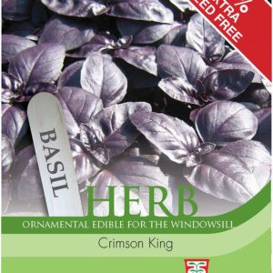 Herb Basil Crimson King