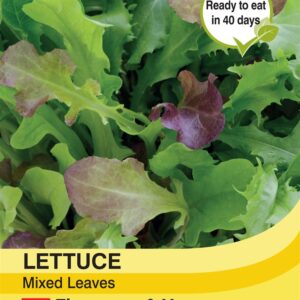 Lettuce Leaves Mixed