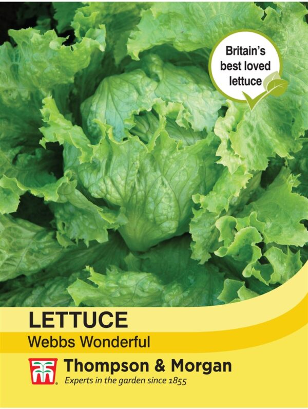 Lettuce Webbs Wonderful