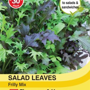 Salad Leaves - Frilly Mix