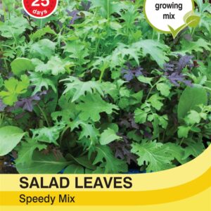 Salad Leaves - Speedy Mix