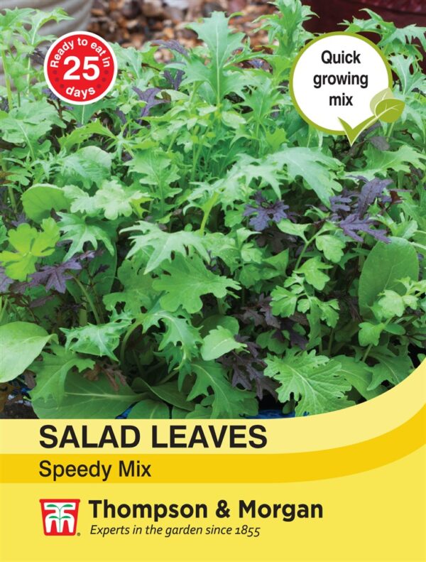 Salad Leaves - Speedy Mix
