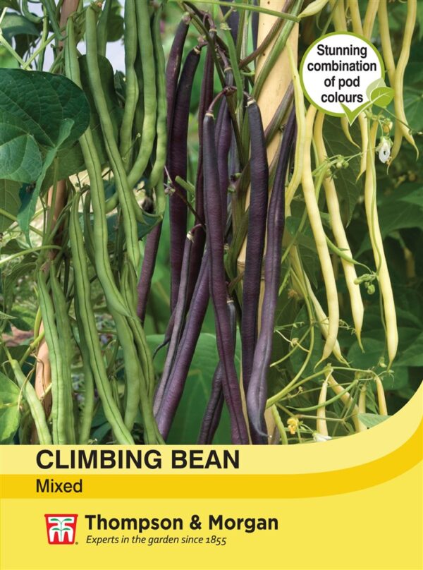 Climbing Bean Mixed