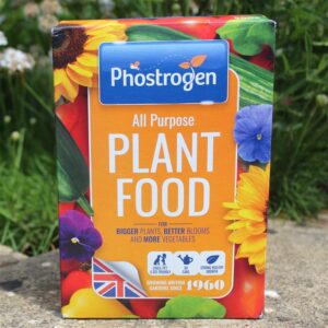 Phostrogen Plant Food