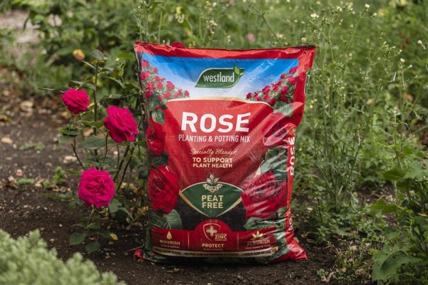 Rose Planting & Potting Mix 50L