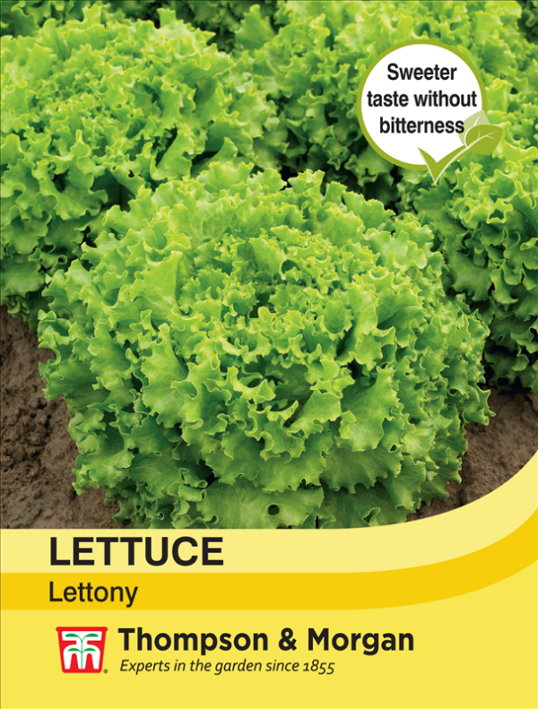 Lettuce Lettony