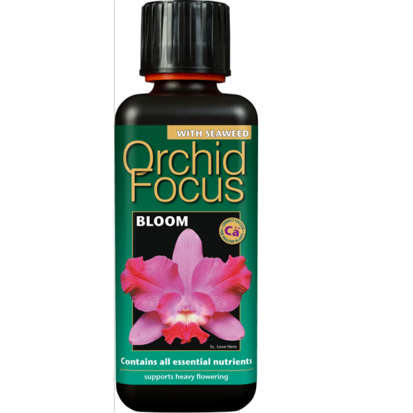 Orchid Bloom 100ml