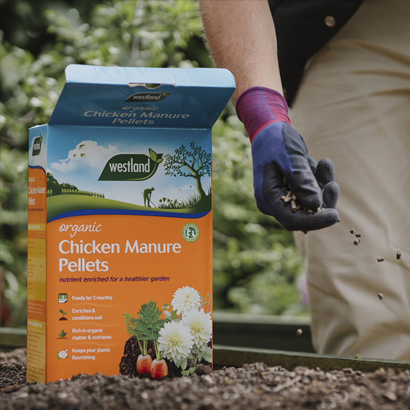 Organic Chicken Manure Pellets