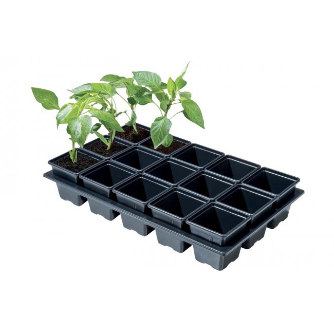 Professional Mini Vegetable Tray 15 x 7cm Sq Pots