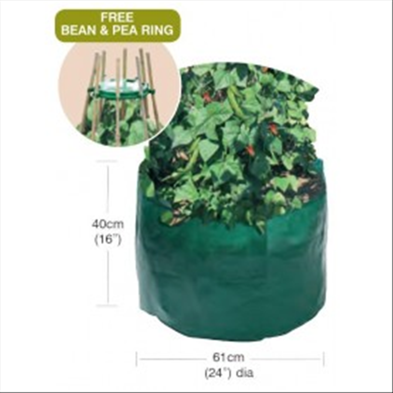 Bean & Pea Bag with FREE Bean & Pea Ring