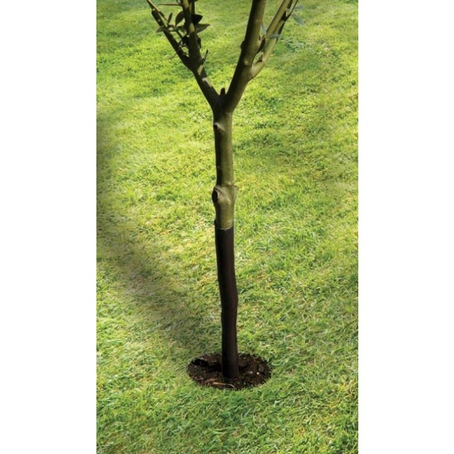 61cm (24") Spiral Tree Guard