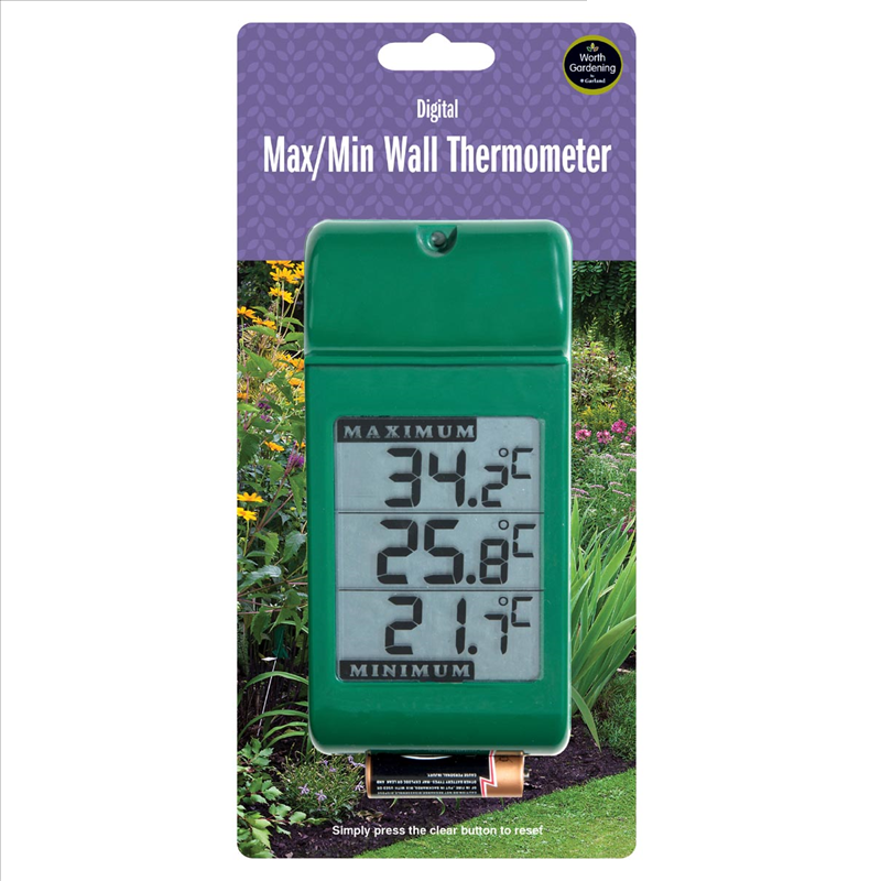 Digital Max/Min Wall Thermometer