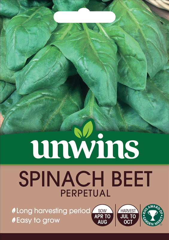 Spinach Beet Perpetual