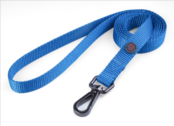 WalkAbout Blue Dog Lead - Small