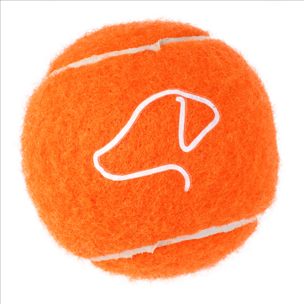 Pooch Tennis Balls 6.5cm  - 3 Pack