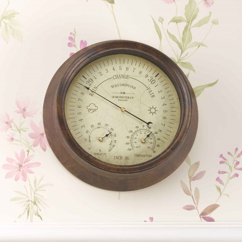 Westminster Barometer & Themo