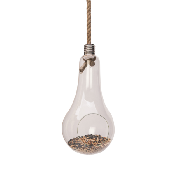 Hanging Lightbulb Terrarium