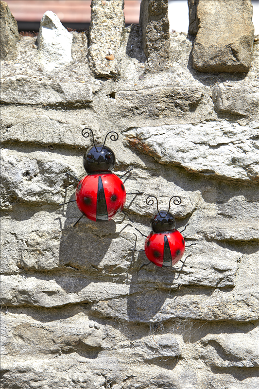 Large Ladybird Hanger On