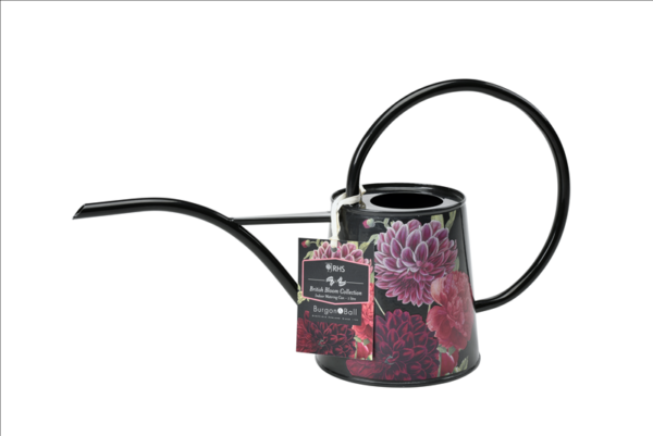 British Bloom Watering Can